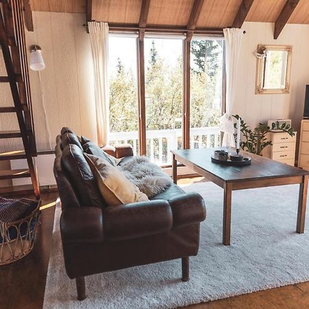 Bjoerk - A Cozy Hilltop Cottage - Great Location! Blaskogabyggd Екстер'єр фото